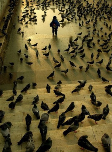 Прикольная подборка