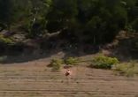 Прикололись над парочкой