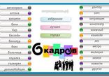 6 кадров в баре