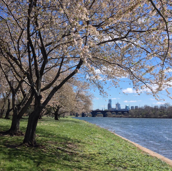 Фейрмонт-Парк, Філадельфія, США