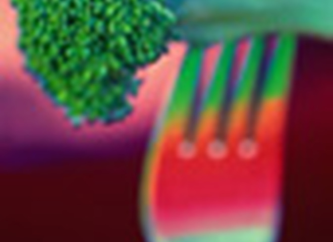 Суп с капустой брокколи