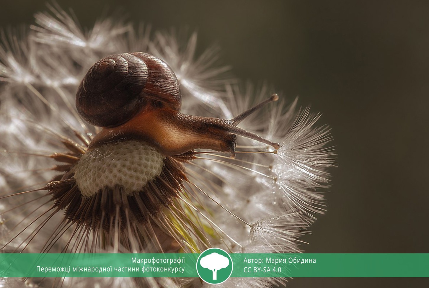 найкращі фото природи 2021