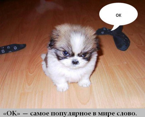 Топ интересных фактов
