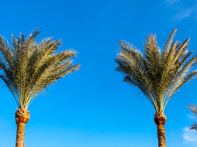 Єгипет, готель Jaz Makadina