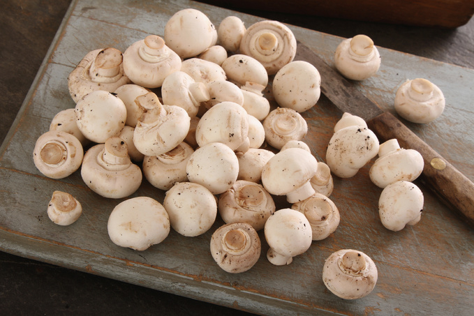 Маринад для грибів: ТОП-5 рецептів