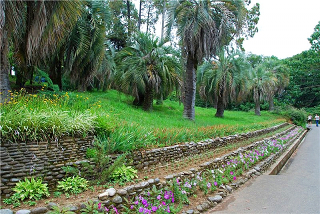 Достопримечательности Батуми: Батумский ботанический сад