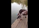 Попил водички)