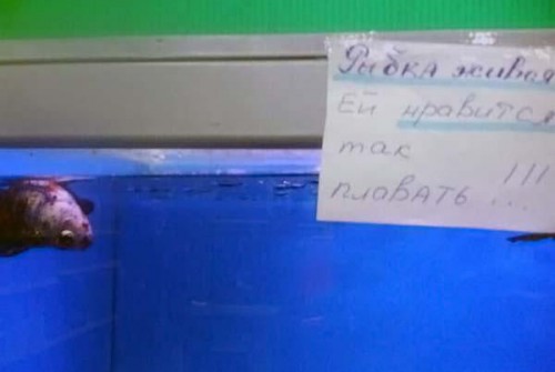 Топ идиотских объявлений