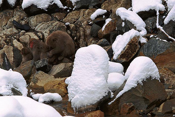 Маскировка 80 lvl 