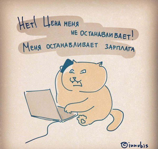 10 полезных советов от котика. Как надо относиться к жизни
