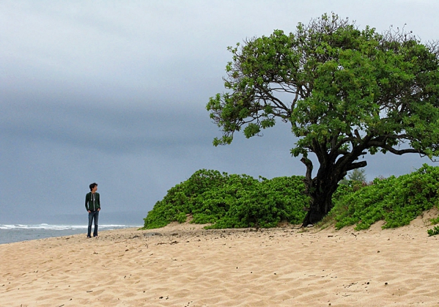 Кинотуризм: где снимали сериал Lost