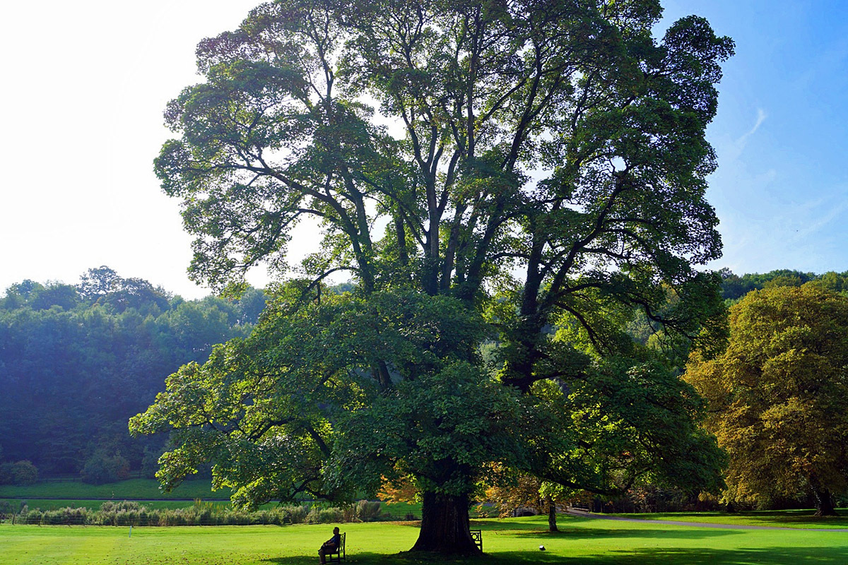 Деревня Castle Combe