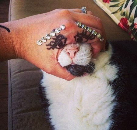 Мой хозяин - идиот!