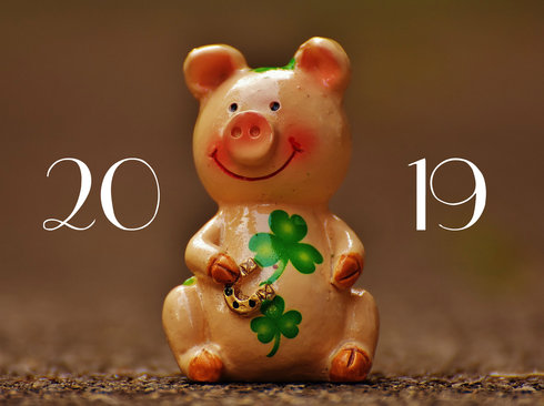 Поросенок на 2019 год