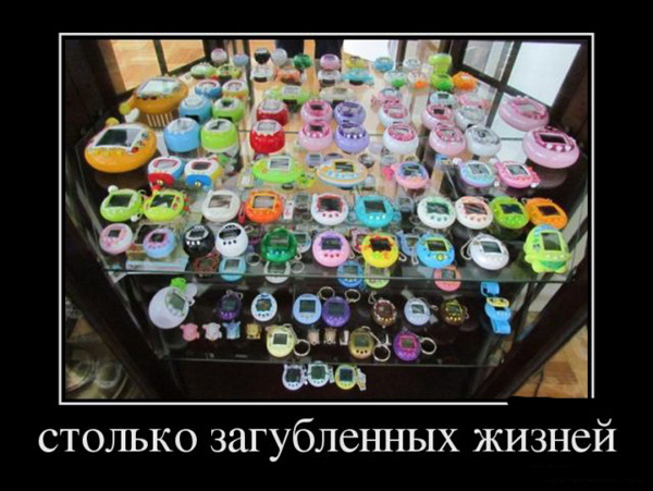 ТОП лучших демотиваторов