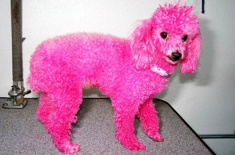 Розовые зверушки