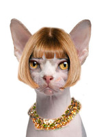 fashion animals fashion animals