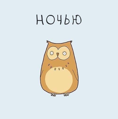 Знакомьтесь, это я: