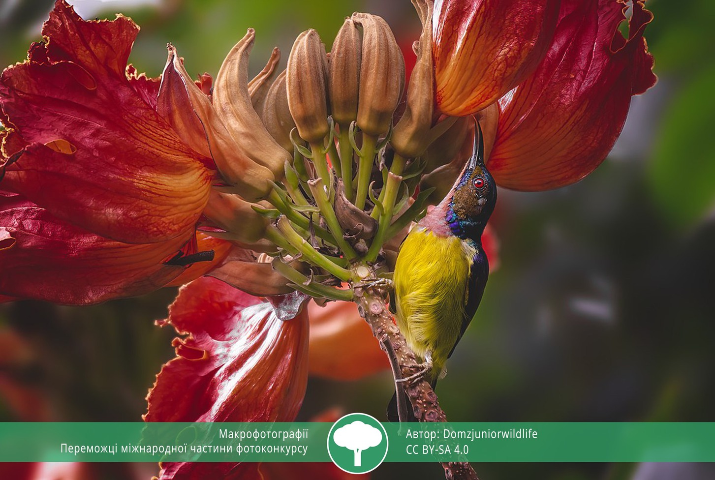 найкращі фото природи 2021