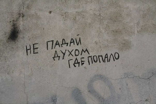 Стены дело говорят