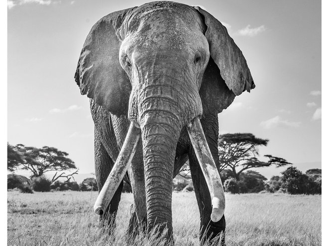 World Nature Photography Awards 2020