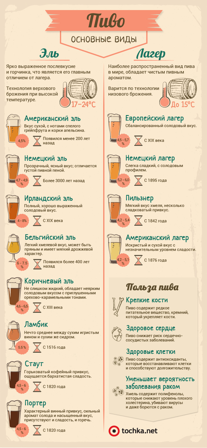 Пиво: что нужно знать о самом популярном напитке