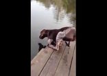 Попил водички)