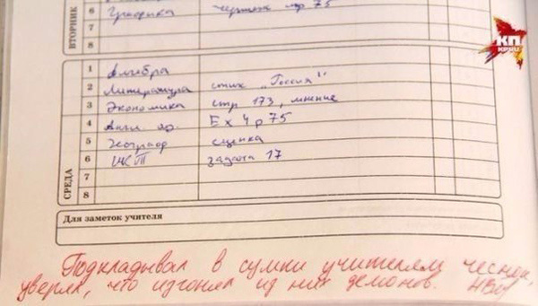 Записи в дневниках