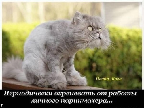 Зверев, капец тебе, сцуко!