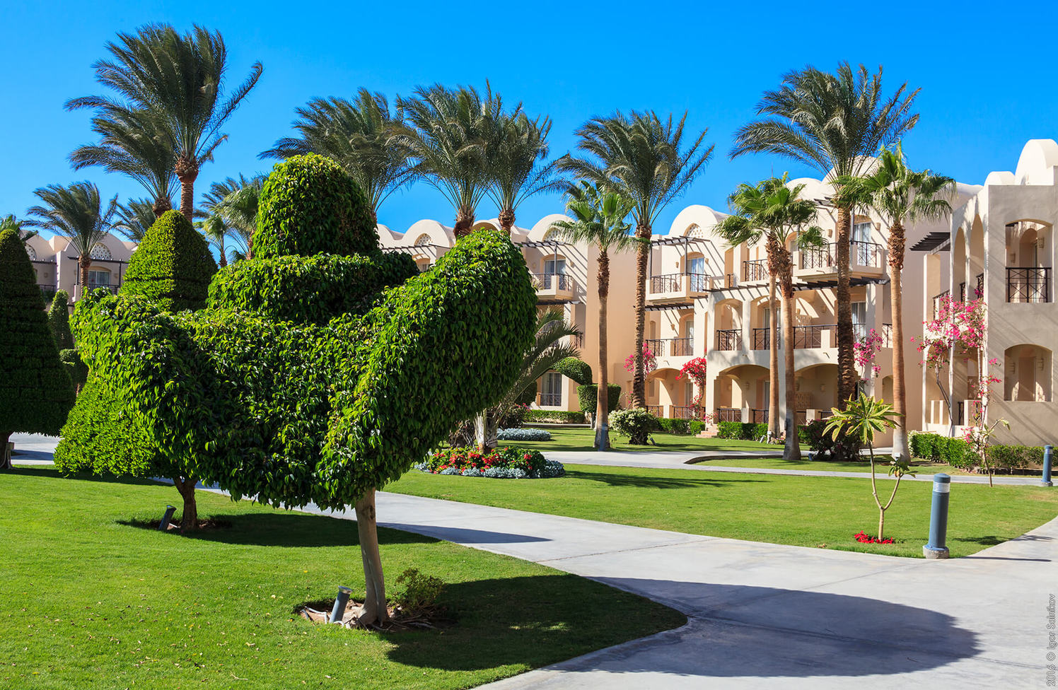 Египет, отель Jaz Makadina