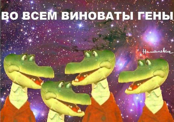 В буквальном смысле