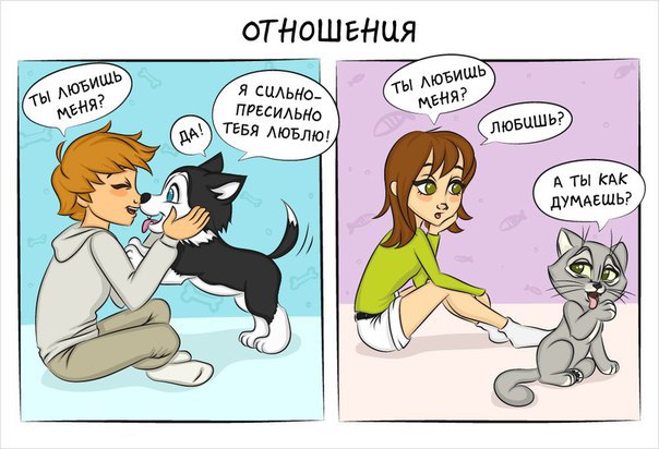 Как отличается жизнь с кошкой от жизни с собакой