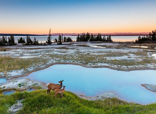 National Geographic опубликовал снимки природы для конкурса The Nature Photographer of The Year