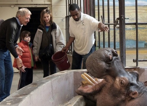 Чудо скотинушки:)