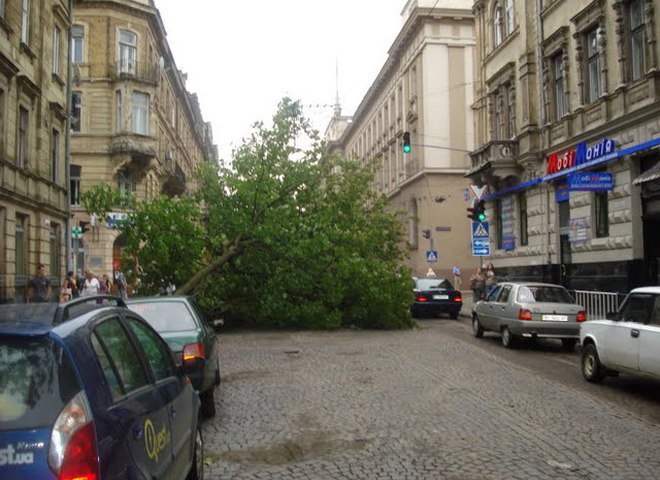 буря во Львове