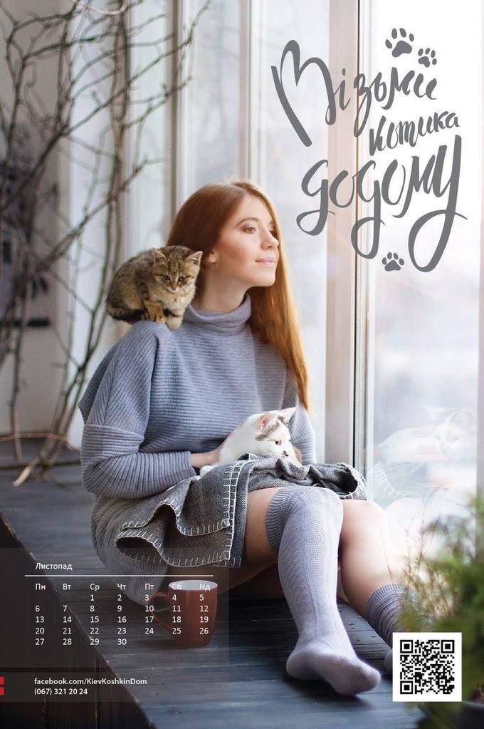 Благотворительного календаря мини-приюта "Кошкин дом": 15 бездомных котов и 12 киевлянок стали модел