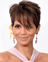 Emmy Awards 2014 Emmy Awards 2014