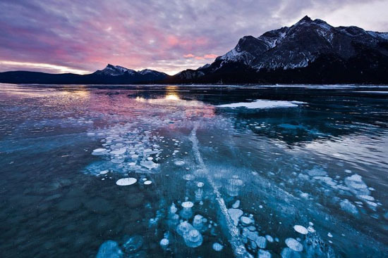Завораживающие зрелище. Замерзшие пузырьки воздуха в озере