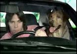 Dog drive
