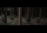 Laura Marling - Devil's Resting Place