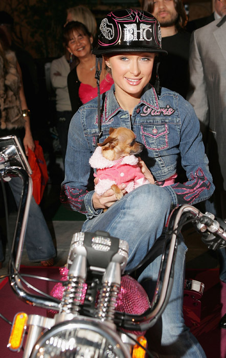 Пэрис Хилтон