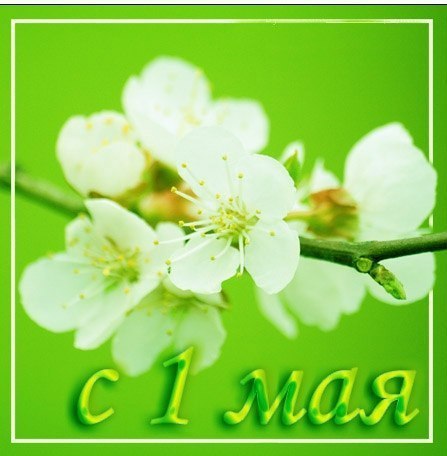 Нежная открытка на 1 мая