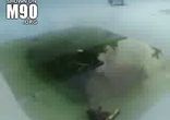 Блонди