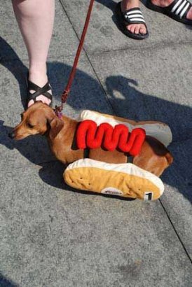 мы любим ПИВО))