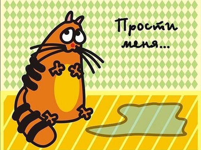 Прикольные извинительные открытки