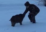 Кабанчик!