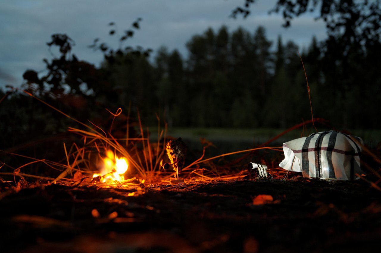 #ПутешествиеСосновойШишки часть 3