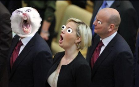 Мега карикатуры на политика блондинку