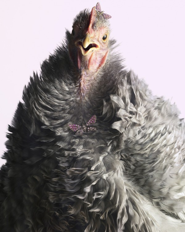 Гламурные цыпочки