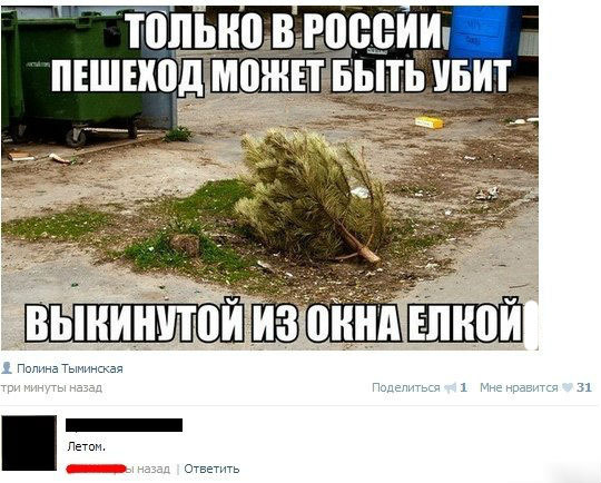 Только в России елка может убит человека